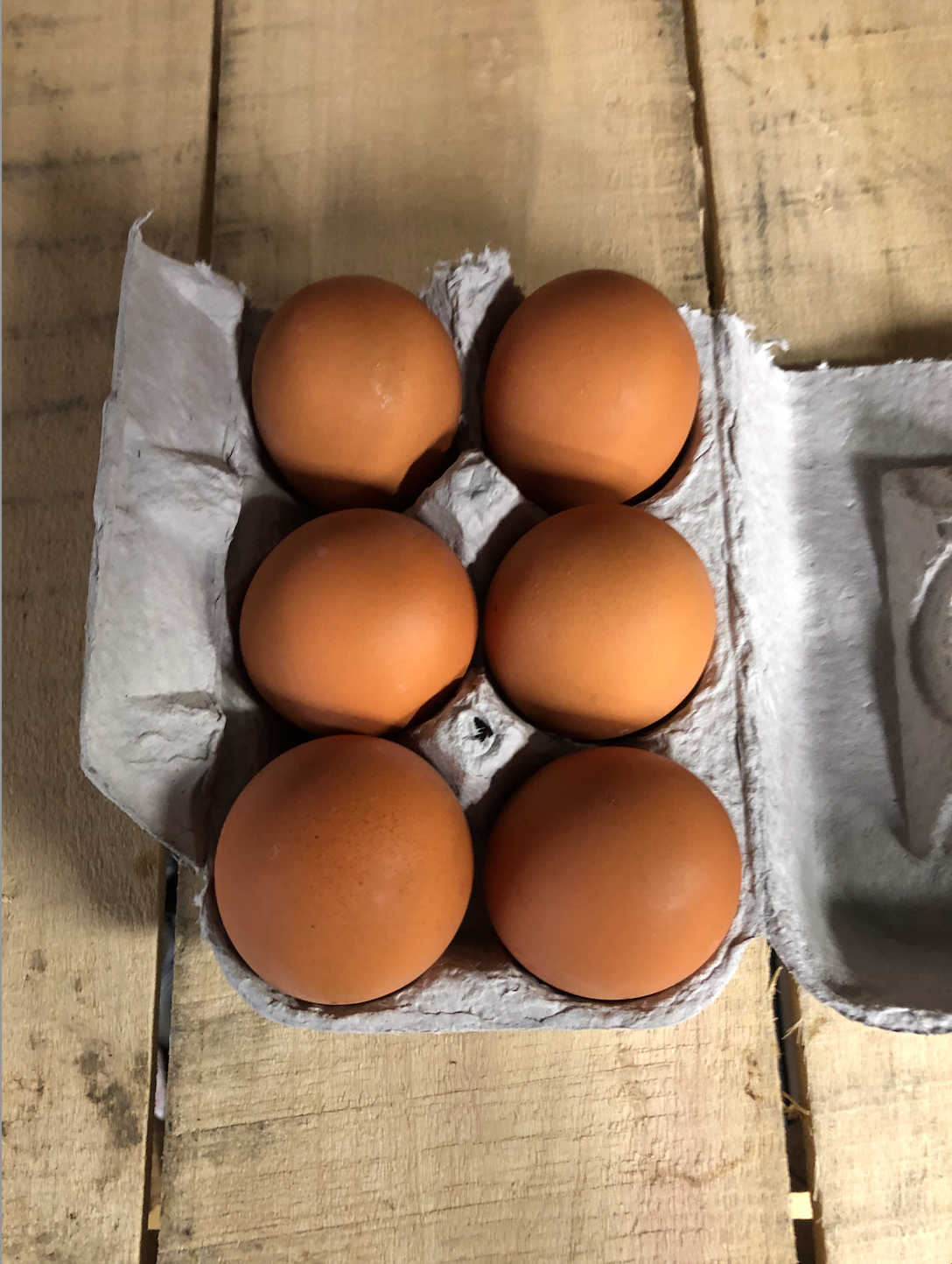 Half Dozen Eggs