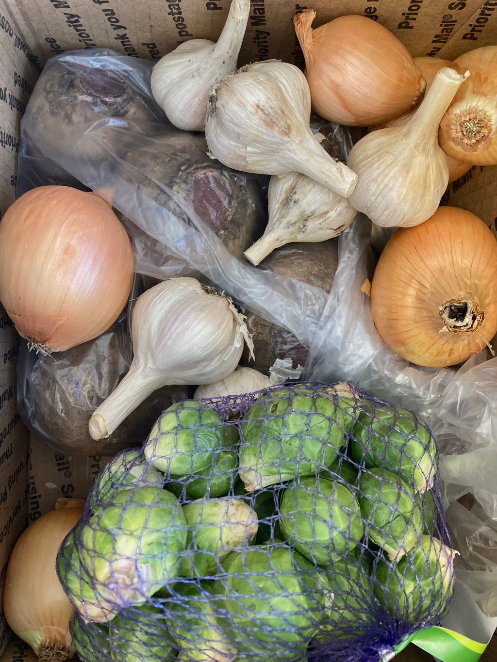 Donate Groceries