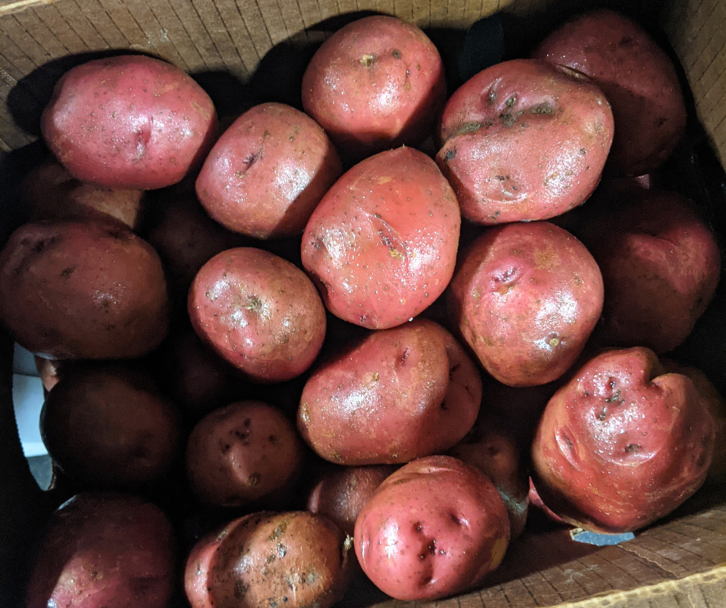 Potatoes