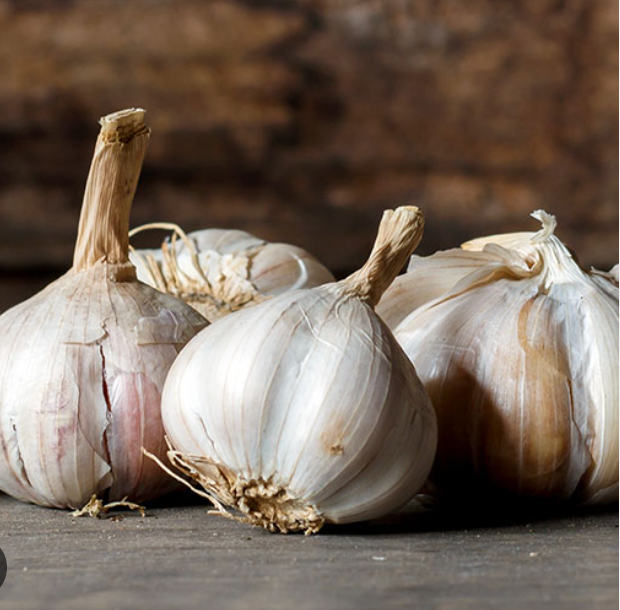 Garlic