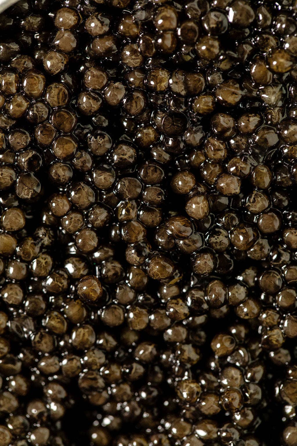 Royal Siberian Caviar Wholesale