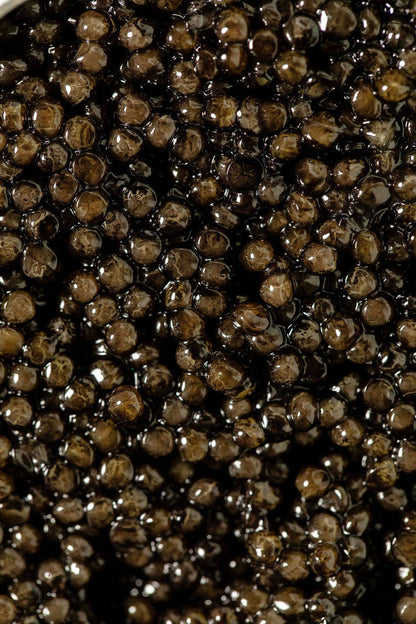 Royal Siberian Caviar Wholesale
